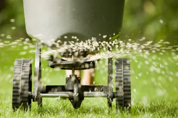 When to Fertilize Your Lawn in Massachusetts