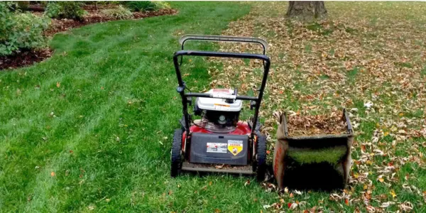 How to Pick Up Leaves With a Lawn Mower