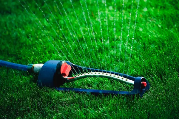 How Often to Water New Lawn Seed