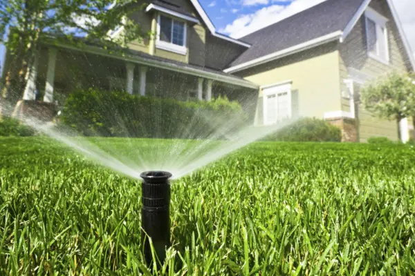 How Often to Water New Lawn Seed