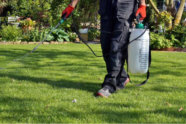 Things You Should Never Do to Your Lawn