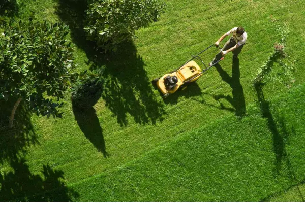 Secrets to Keep Your Lawn Green and Healthy