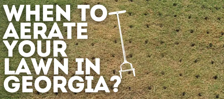 when to aerate lawn georgia