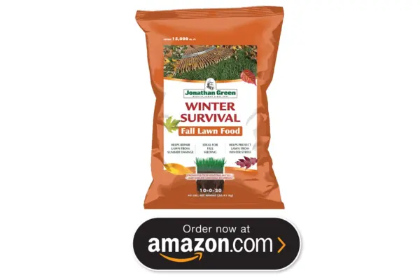 best winter lawn fertilizers