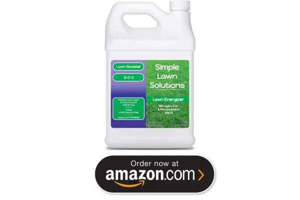 best winter lawn fertilizers