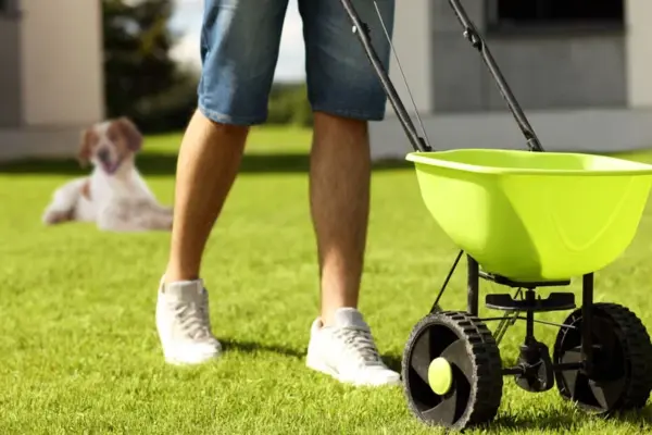 How Long Should Dogs Stay Off the Lawn After Fertilizing