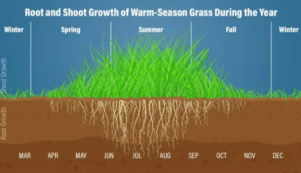 When to Aerate Your Lawn in Georgia