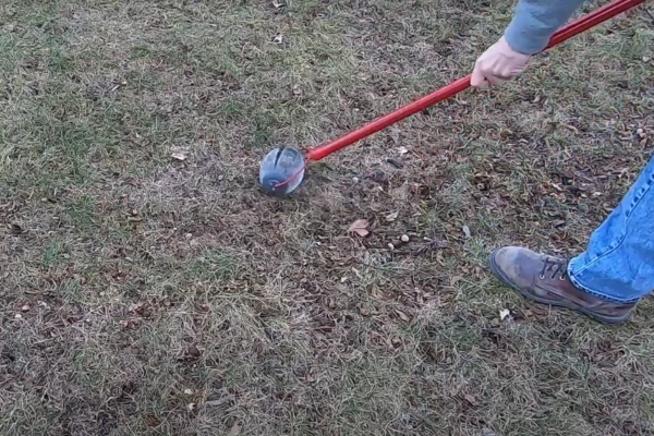 How to Pick Up Acorns from Your Lawn