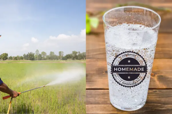 A man sprays water on a lush field, with a glass marked "homemade" in the foreground, showcasing a blend of nature and refreshment.