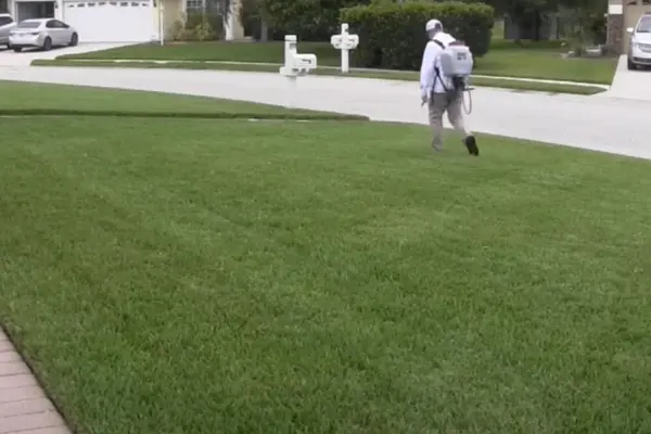 A man wearing a sprayer on his back is applying liquid to a patch of grass in a green outdoor setting.