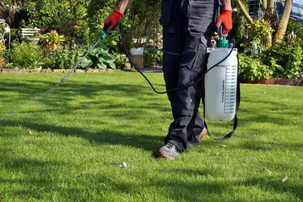 A man wearing a sprayer on his back is applying liquid to a patch of grass in a green outdoor setting.