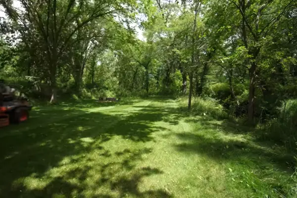 A shaded lawn featuring lush green grass and tall trees, creating a peaceful outdoor space.