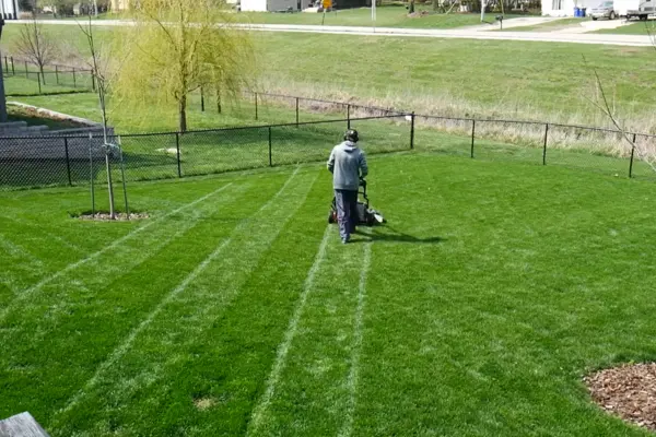 A man mowing the grass in a backyard, creating neat patterns in the lawn with his mower.