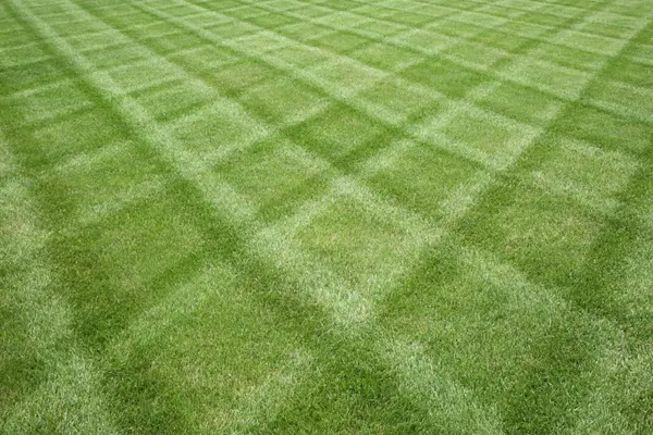 diagonal stripes pattern on lawn