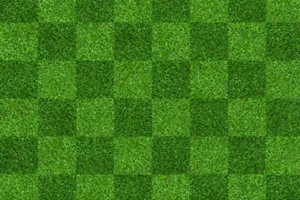 Checkerboard Patterns on lawn