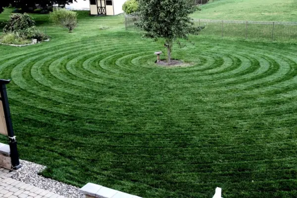 circular patterns on lawn